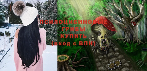 сатива Вязьма