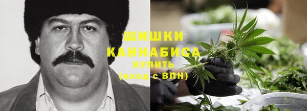 сатива Вязьма