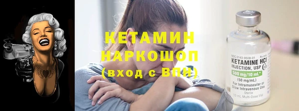 сатива Вязьма