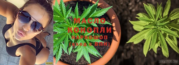 ГАЛЛЮЦИНОГЕННЫЕ ГРИБЫ Вязники