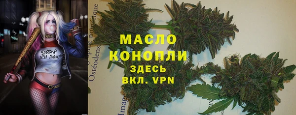 ГАЛЛЮЦИНОГЕННЫЕ ГРИБЫ Вязники