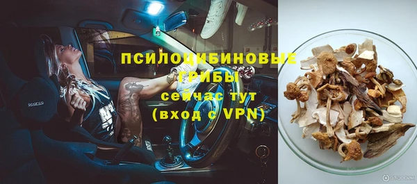 ГАЛЛЮЦИНОГЕННЫЕ ГРИБЫ Вязники