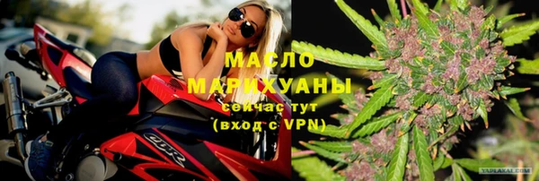 сатива Вязьма
