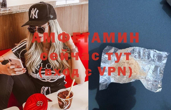 сатива Вязьма