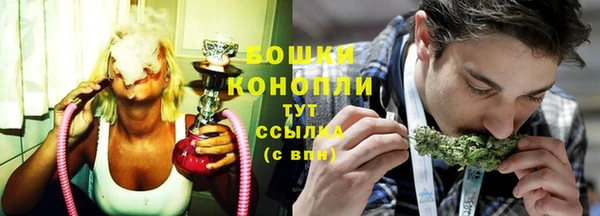 ГАЛЛЮЦИНОГЕННЫЕ ГРИБЫ Вязники