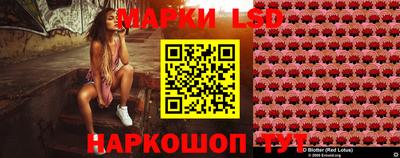 spice Краснознаменск