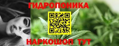 spice Краснознаменск